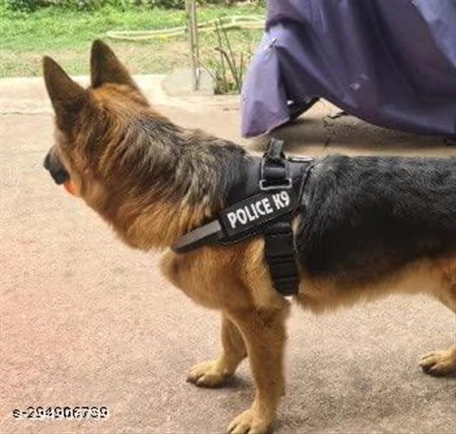 Fabric Body Harness for Dogs – Soft, Comfortable & Escape-Proof (XL)